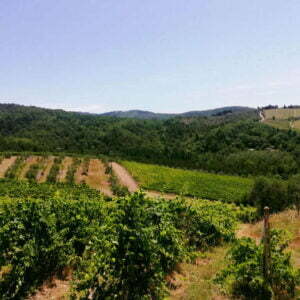 Italia