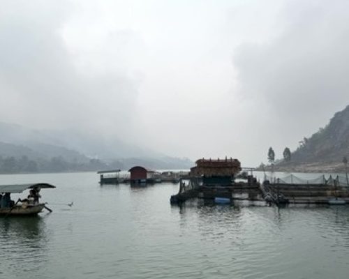 IMG_0405