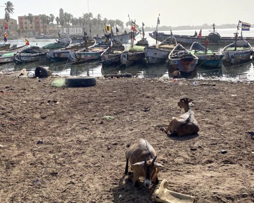 IMG_3011 DAKAR