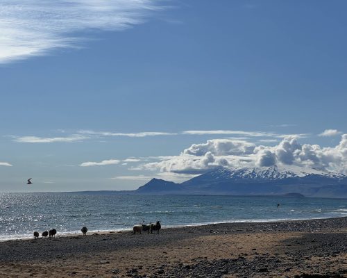 IMG_4087~photo