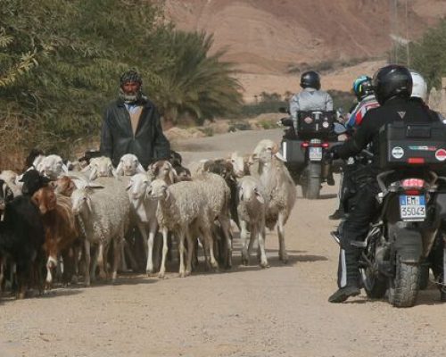 africa-in-moto-20