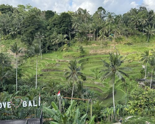 indonesia_in_moto