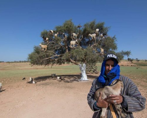 Marocco Destinazione Sud in moto