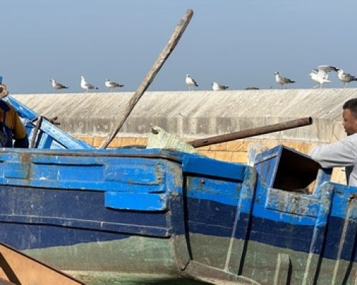 marocco ds 1