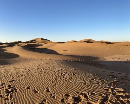 marocco ds 8