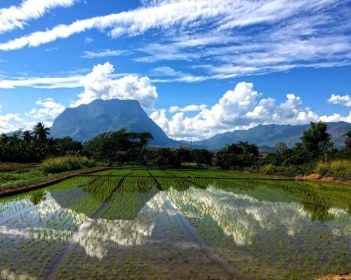 thailandia-in-moto-04-q9llkjqja89cyyhafhibt4ujkuywjk44ufdbs15jts