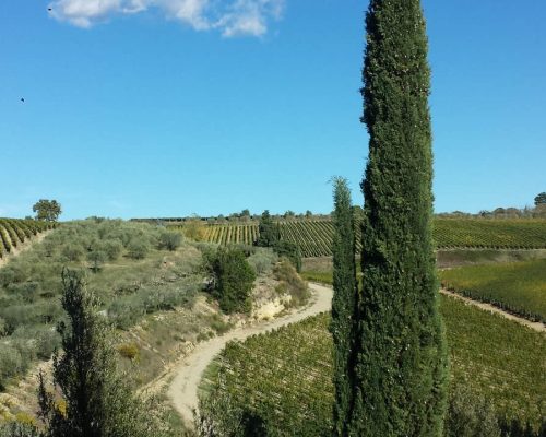 Toscana in moto