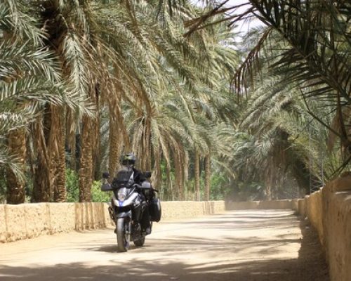 Tunisia in moto a Capodanno: oasi palme moto