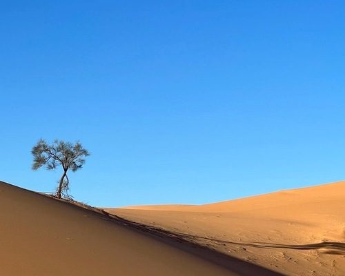 viaggio in algeria in moto 2