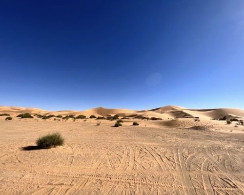 viaggio in algeria in moto24
