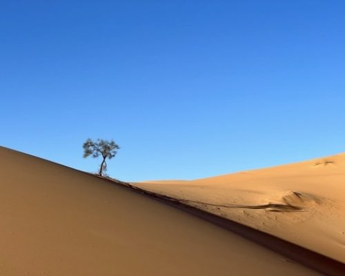 viaggio in algeria in moto28