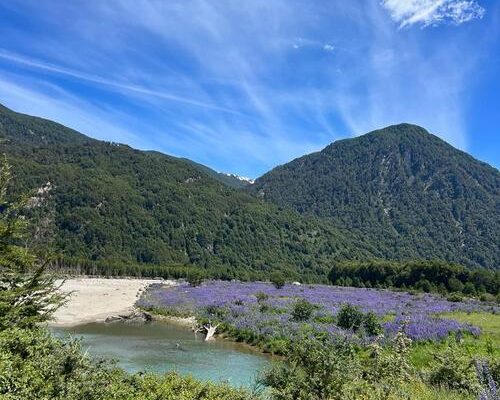 viaggio-in-patagonia-12