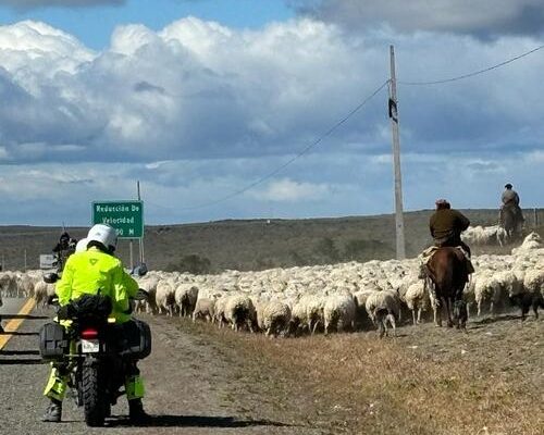 viaggio-in-patagonia-in-moto-45